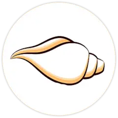 shankh.webp